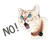 Sticker 29