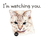 Sticker 31