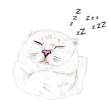 Sticker 35
