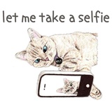 Sticker 40
