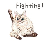 Sticker 41