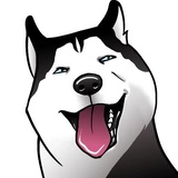 Husky Memes