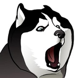 Sticker 11