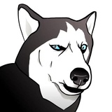Sticker 13