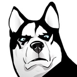 Sticker 14