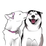 Sticker 16