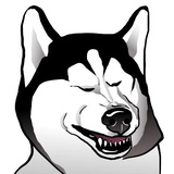 Sticker 27