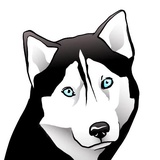 Sticker 35