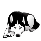 Sticker 37