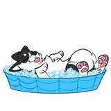Sticker 21