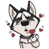 Sticker 42