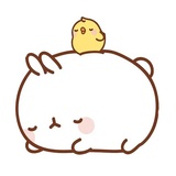 Sticker 31