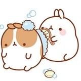 Sticker 34