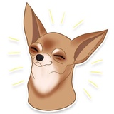 Chihuahua sticker pack