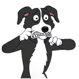 Sticker 12