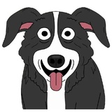 Sticker 17