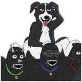 Sticker 37
