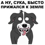 Sticker 4
