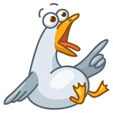 Sticker 13