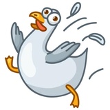Sticker 15