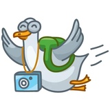 Sticker 25