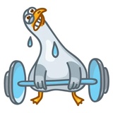 Sticker 27