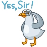 Sticker 5