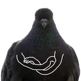 Pigeons with hands sticker pack