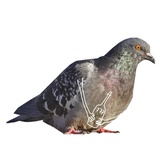 Sticker 15