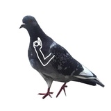Sticker 2