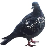 Sticker 3