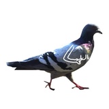Sticker 4
