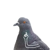 Sticker 6