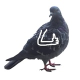 Sticker 7