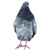 Sticker 8