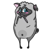 Sticker 13
