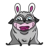 Sticker 14