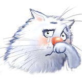 Sticker 41