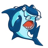 Sharks sticker pack