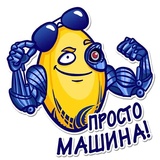 Sticker 5