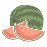 Summer Day sticker pack
