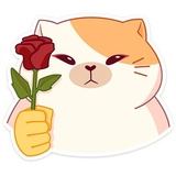 Sticker 33