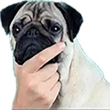 Sticker 91