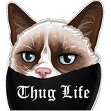 Sticker 5