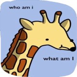 Sticker 29