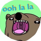 Sticker 38