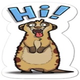 Sticker 16