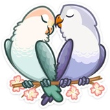 VK Love Birds