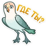 Sticker 23