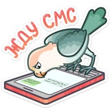 Sticker 24